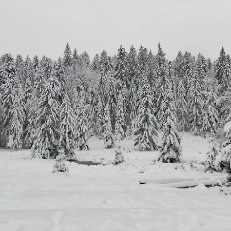Apartamento De L'abeille Moussey (Vosges)