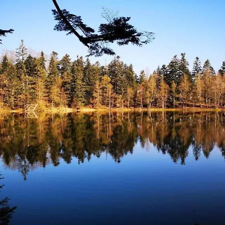 아파트 De L'abeille