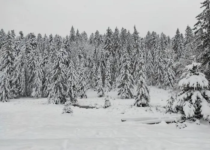 Apartament De L'abeille Moussey (Vosges)