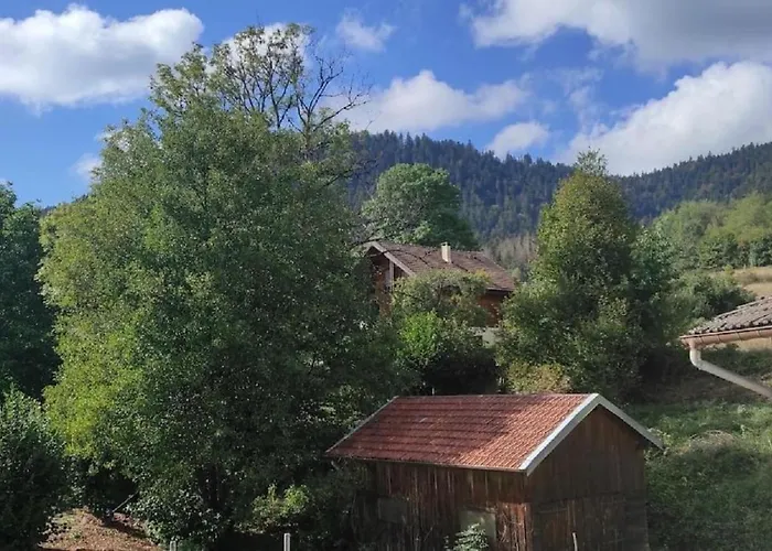 아파트 De L'abeille Moussey (Vosges)