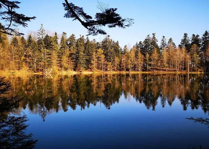 아파트 De L'abeille