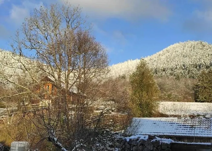 De L'abeille Apartament *